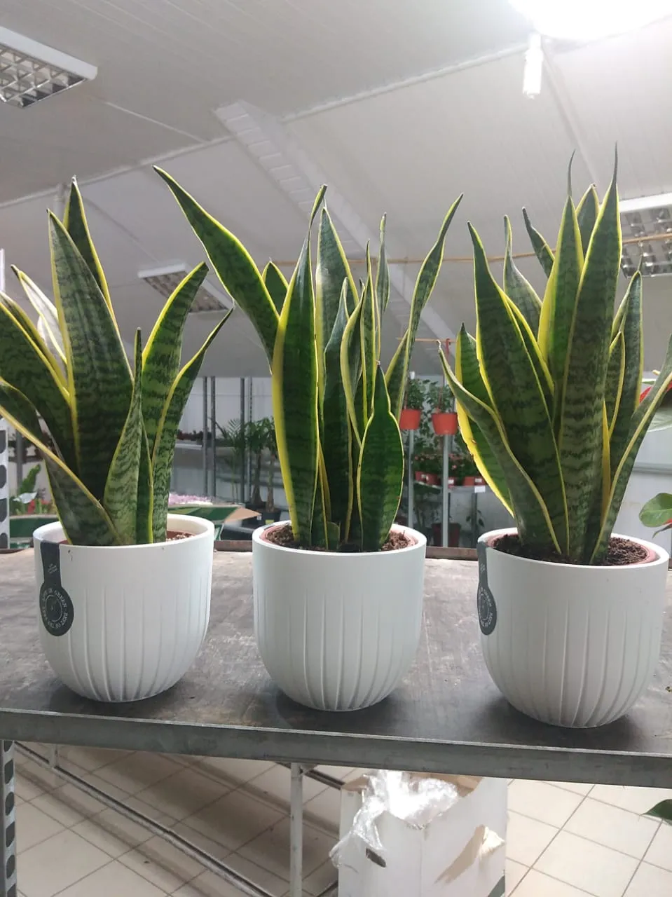 WhatsApp Image 2022-09-14 at 15.22.18 (1).jpeg WhatsApp Image 2022-09-14 at 15.22.18 (1).jpeg