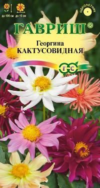 Георгина Кактусовидная (цветной пакет) 0,2г; Гавриш фото в интернет-магазине Флоранж