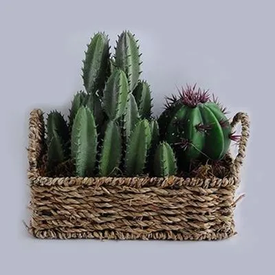 Кактус своими руками – как сделать декоративную поделку в виде кактуса (105 фото-идей)